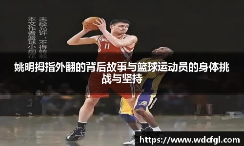 bsports必一